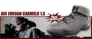 Air Jordan Melo 1.5