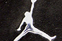 Air Jordan XXI 21 PE "Players Edition" 061