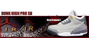 Nike Jordan 3 "Life Style Edition" 062
