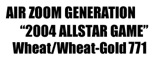 Air Zoom Generation "2004 Allstar Gamen" 771