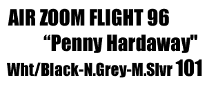 Zoom Flight 96 "Penny Hardaway" 101