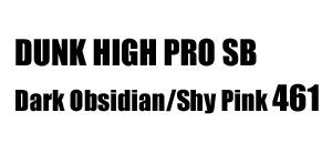 Dunk High Pro SB 461